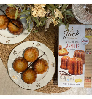 Moule 8 cannelés silicone