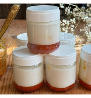 Ferments lactiques pour yaourts