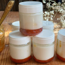 Ferments lactiques pour yaourts