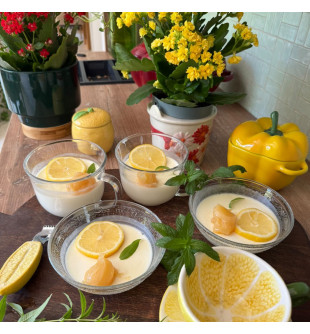 Préparation Panna Cotta 780g Grand Format