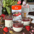 Préparation Panna Cotta 780g Grand Format