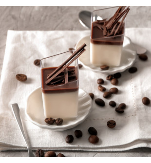 Préparation Panna Cotta 780g Grand Format
