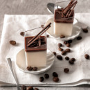 Préparation Panna Cotta 780g Grand Format