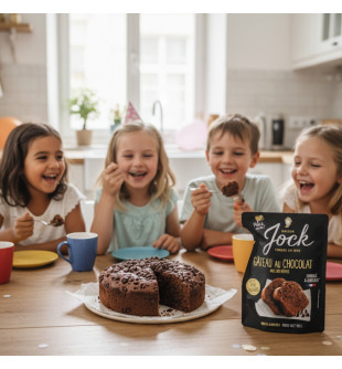 Préparation Moelleux Chocolat et Pépites Pur Beurre